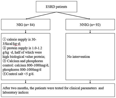 Nutritional intervention in end-stage renal disease: a clinical trial study